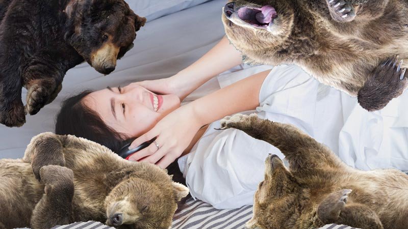 idiom lazy as a bear