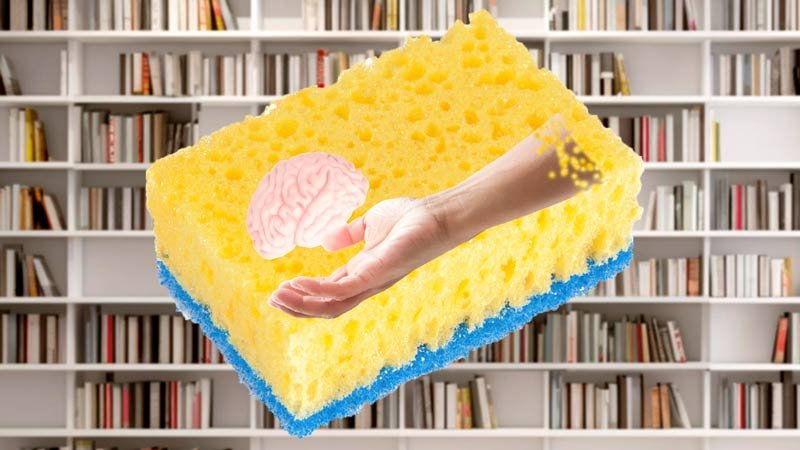 sponge of knowledge metaphor