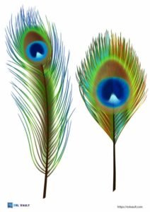100+ Free printable feather templates (PDF) - ESL Vault