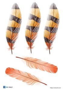 100+ Free printable feather templates (PDF) - ESL Vault