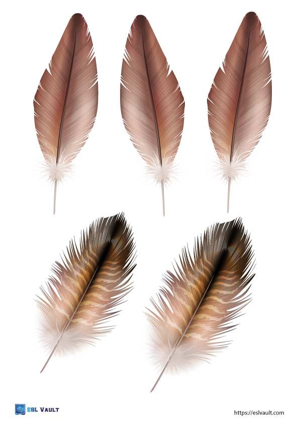 realistic feather cutouts