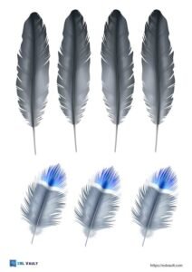 100+ Free printable feather templates (PDF) - ESL Vault