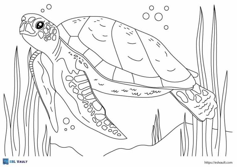 realistic sea turtle coloring page 2