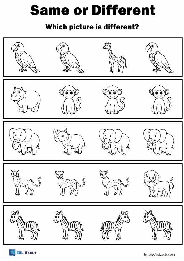 same different worksheets animals