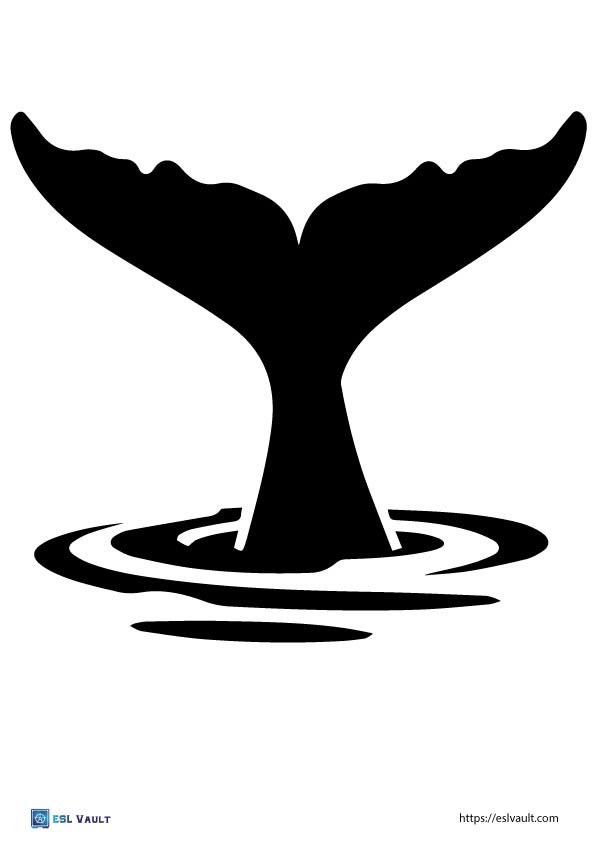 tail of a whale template printable
