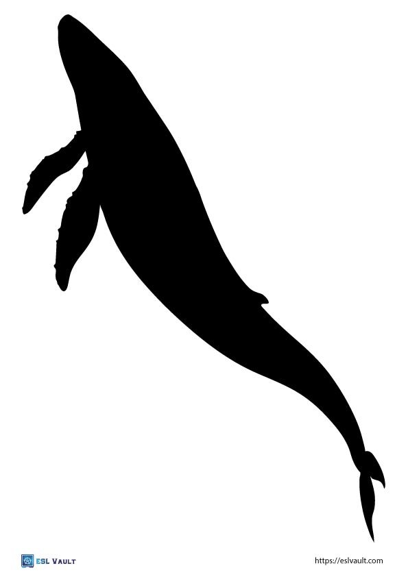 whale template printable