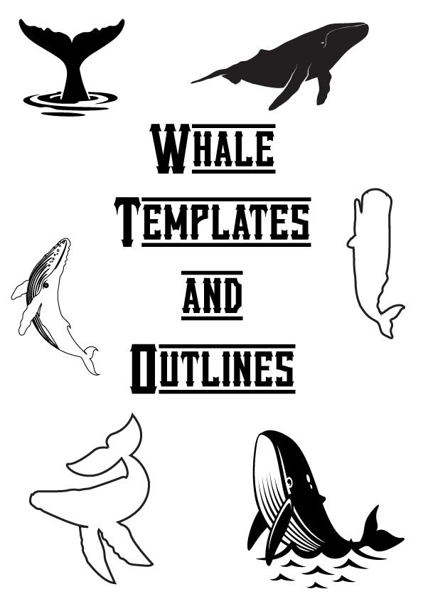 whale templates and outlines