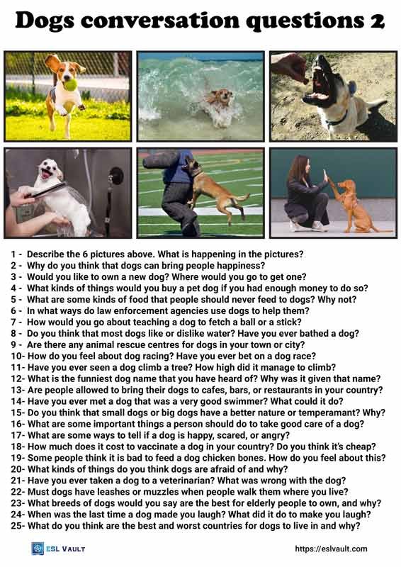 dogs conversation questions 2