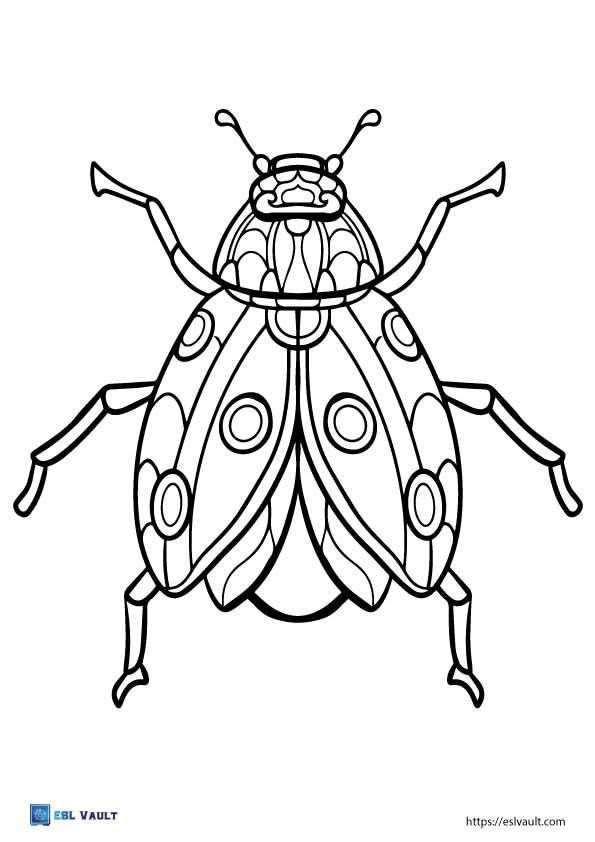 free pdf beetle coloring sheet