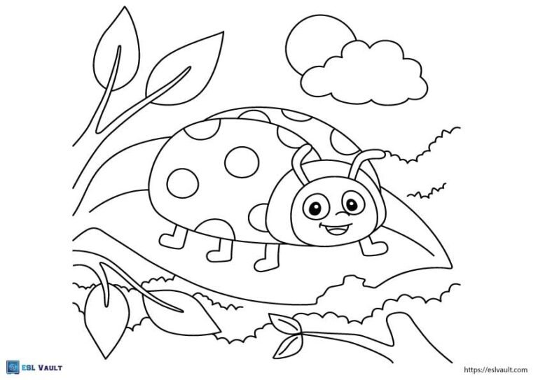 ladybug beetle coloring page for kids
