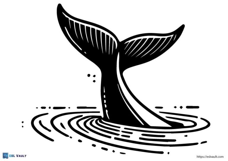 large whale tail template 2