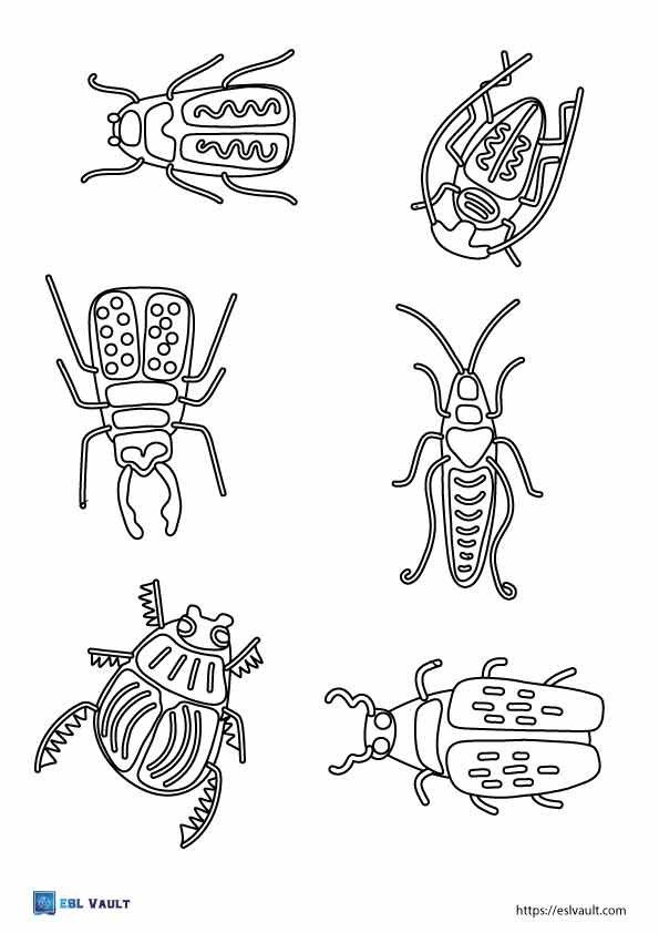mixed beetle coloring page pdf
