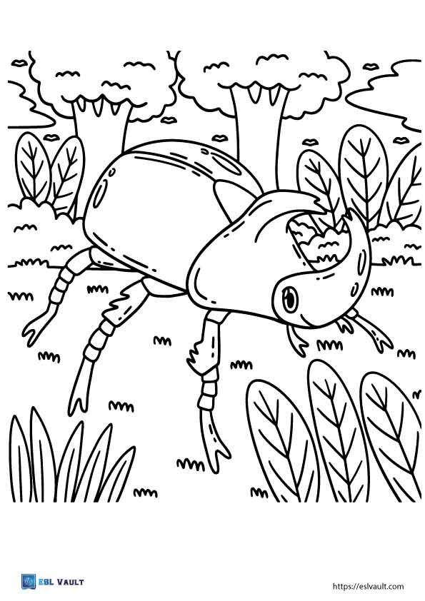 rhino beetle coloring page pdf