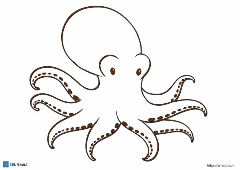 cute octopus template