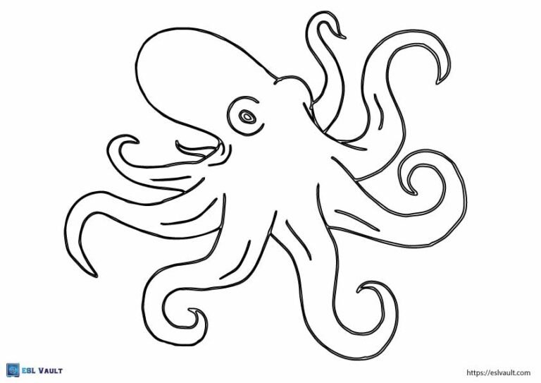 octopus template free printable