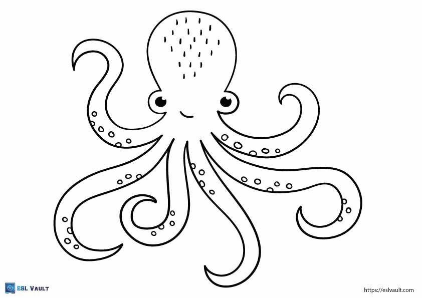 Free octopus outlines and templates (16 PDFs) - ESL Vault