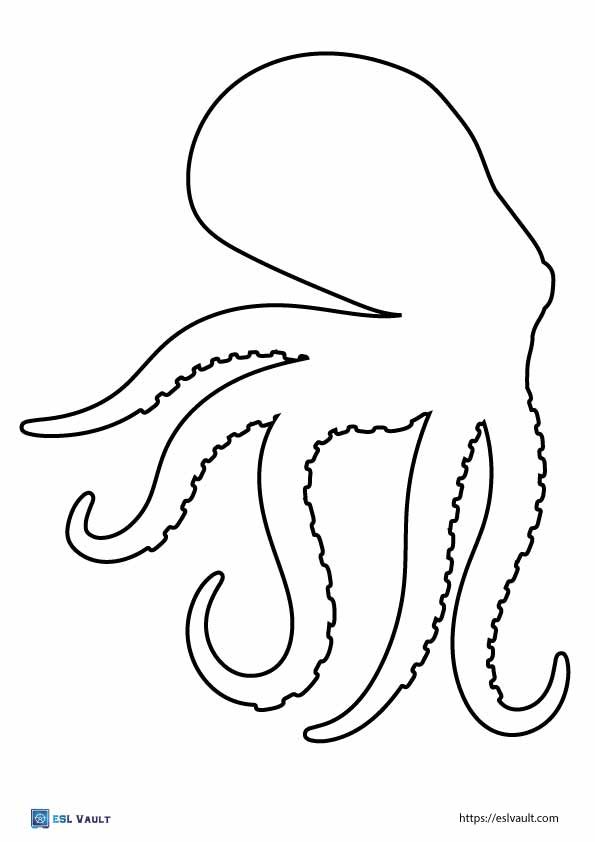 printable octopus outline