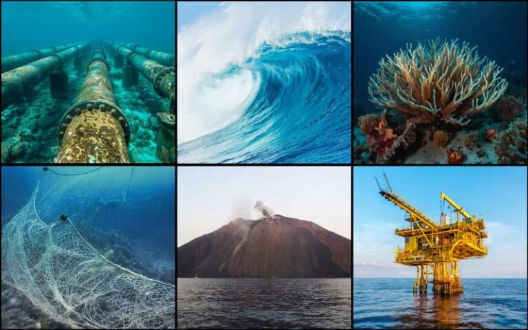 things in the ocean pictures 1