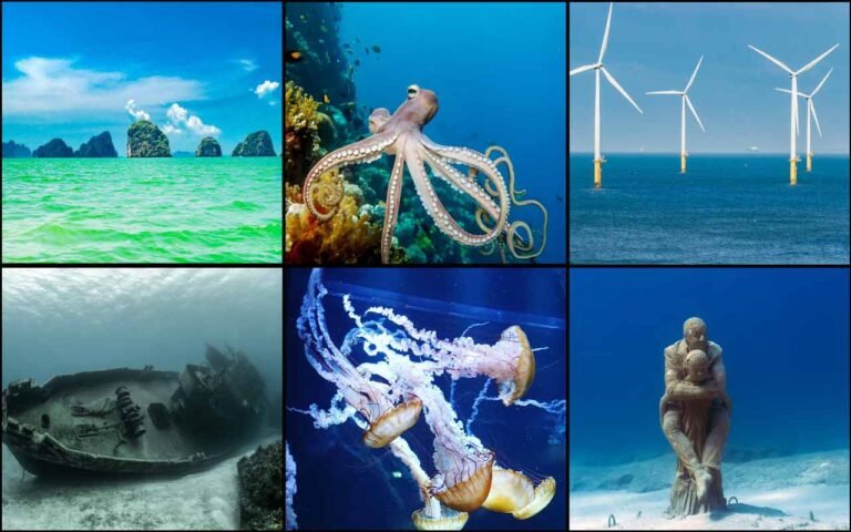 things in the ocean pictures 2