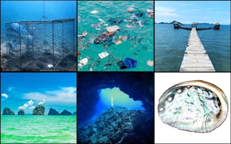 things in the ocean pictures 4