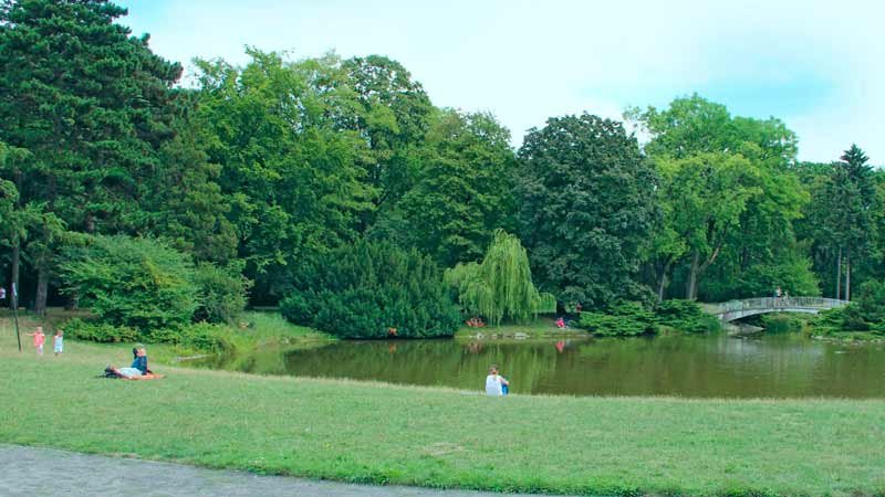 a park with a lake and trees