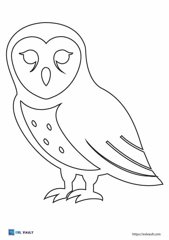 barn owl template printable