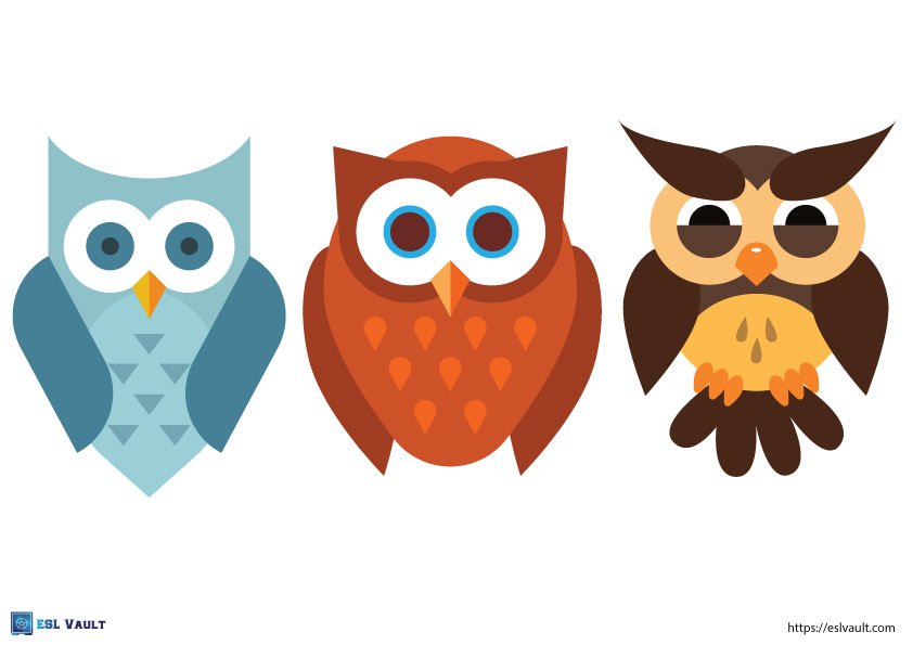 Owl Template.pdf Free printable owl templates (27 PDFs) - ESL Vault