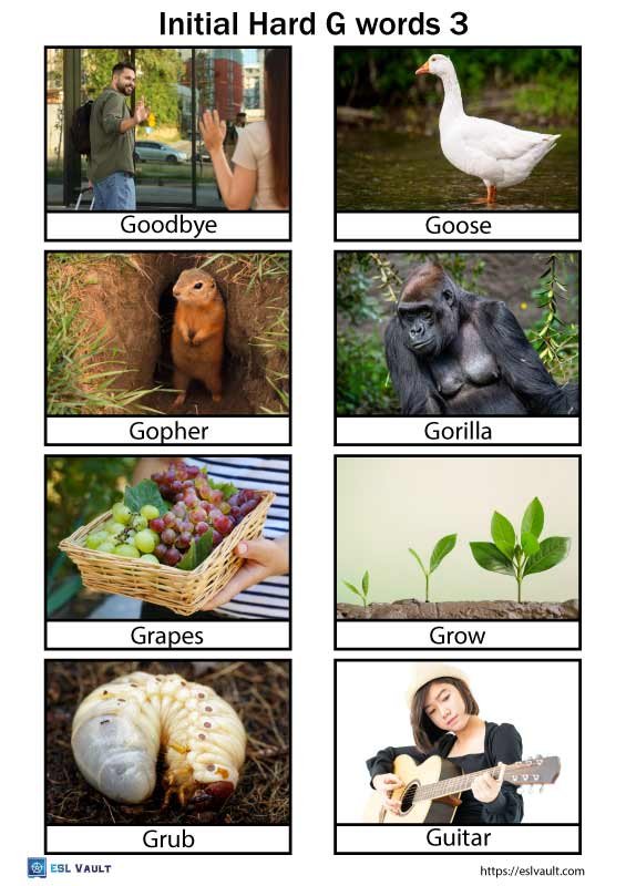 initial hard g words 3