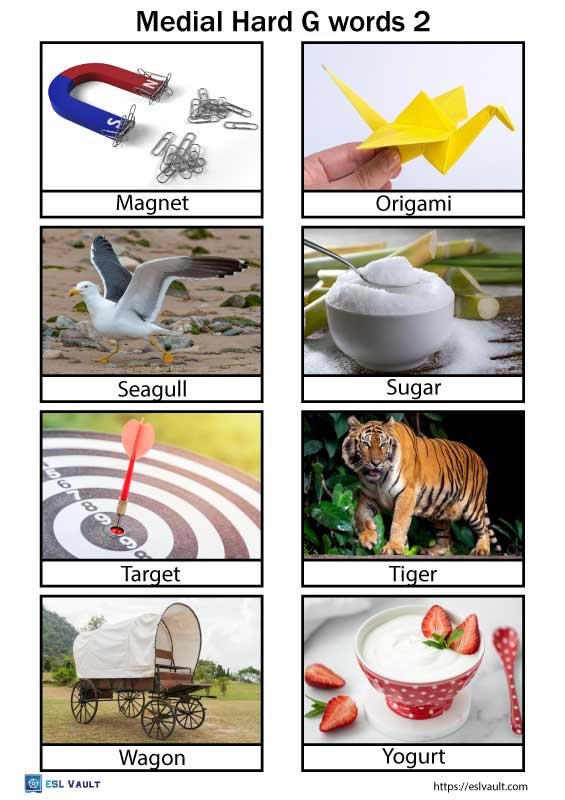 medial hard g words 2