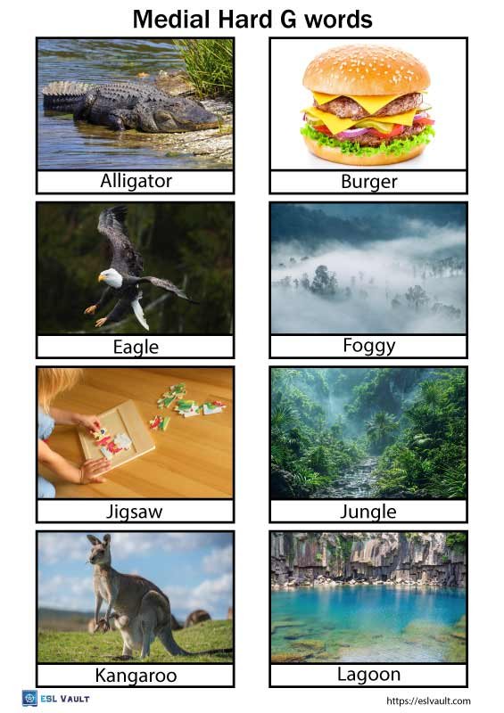 medial hard g words pictures