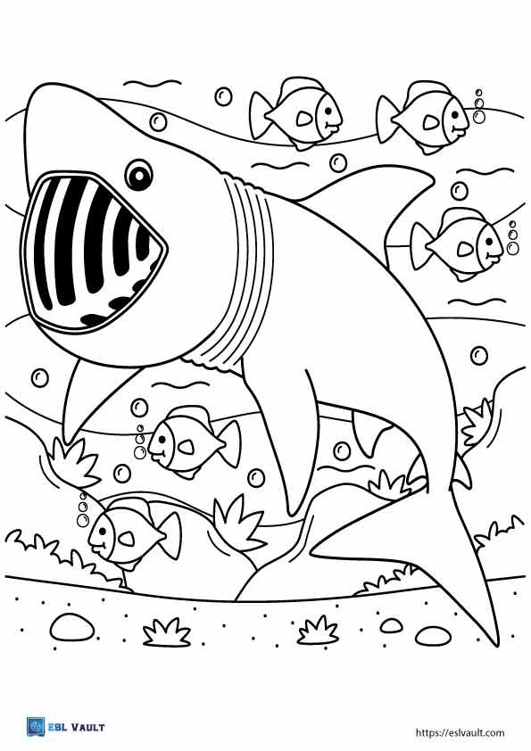 cute shark coloring page with fish