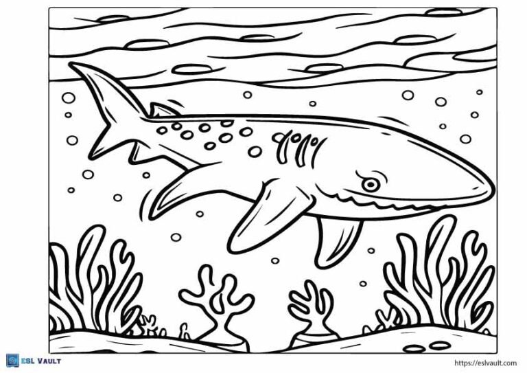 cute whale shark coloring page