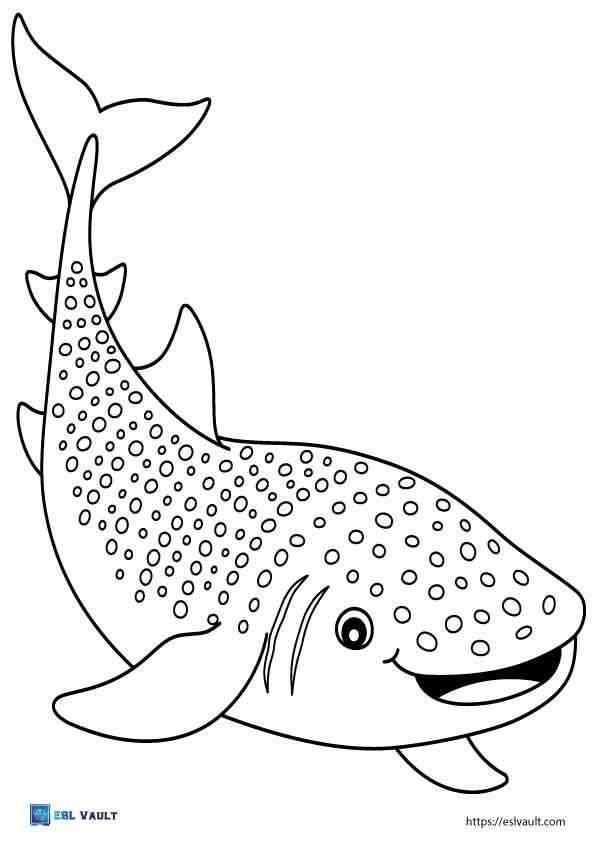 simple whale shark coloring page