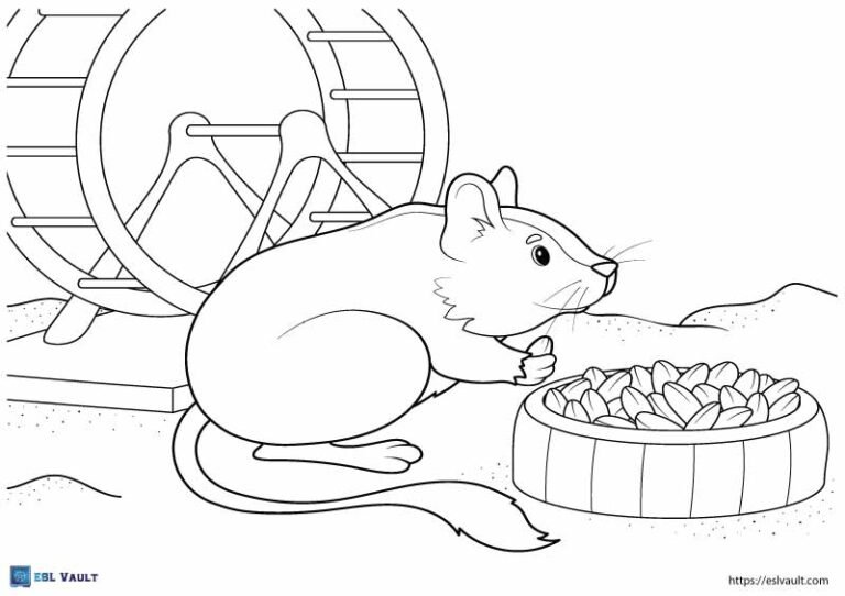 free pets coloring sheets hamster