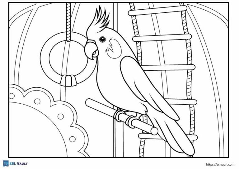pets coloring page bird