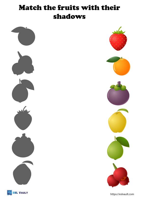 preschool fruit matching worksheet shadows