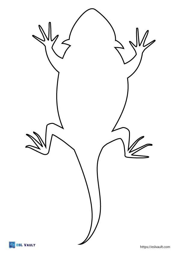 chameleon lizard outline overhead