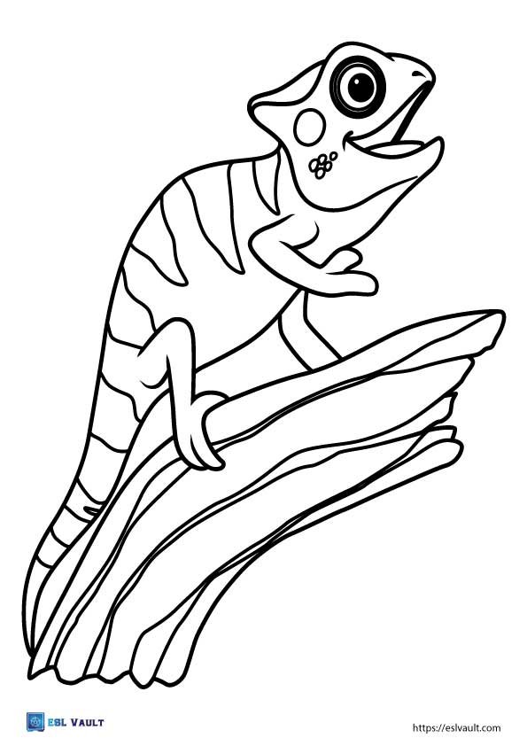 cute chameleon lizard template