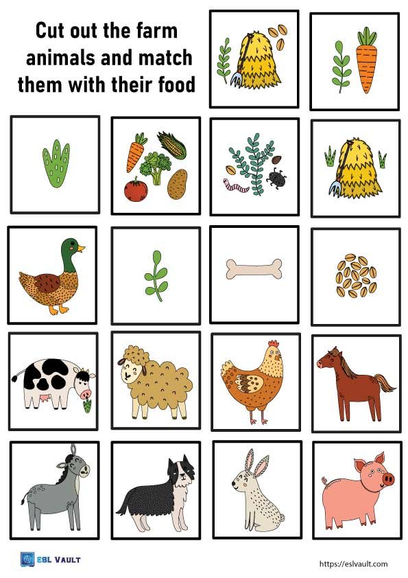 farm animals matching cards food