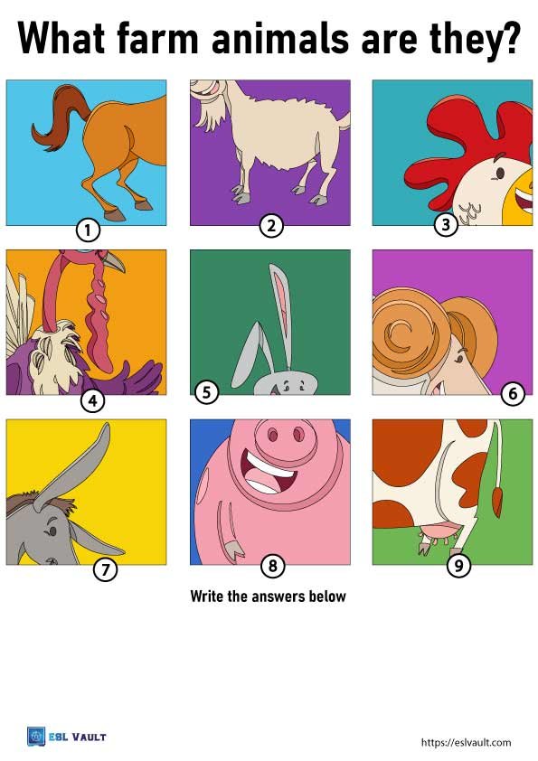 farm animals matching worksheet quiz