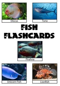 free printable fish flashcards pdf