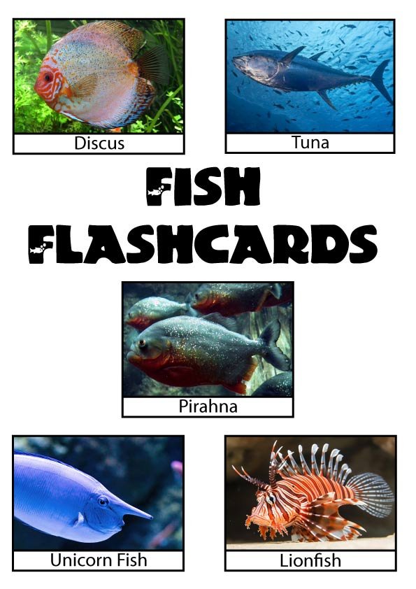 free printable fish flashcards pdf