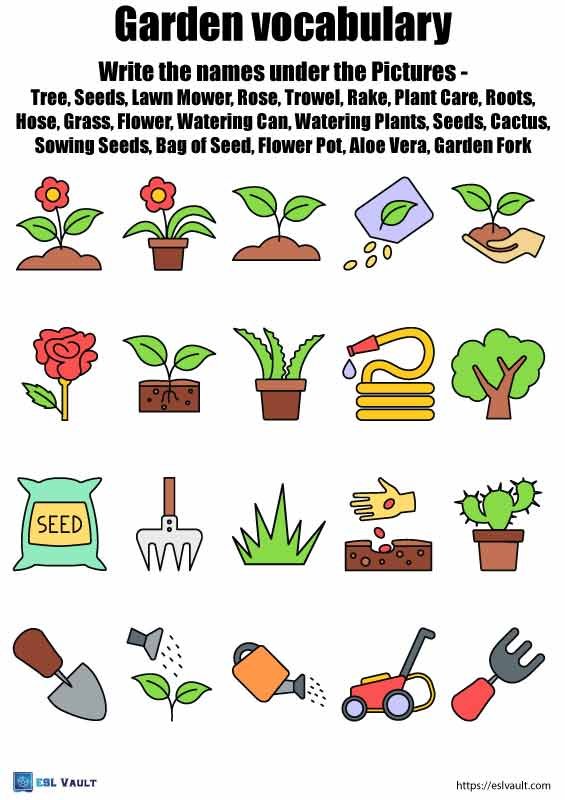 gardening worksheets for kids vocabulary