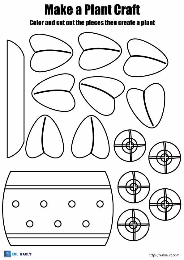 plant craft gardening worksheet 2