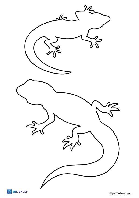 printable lizard outlines newts pdf 2