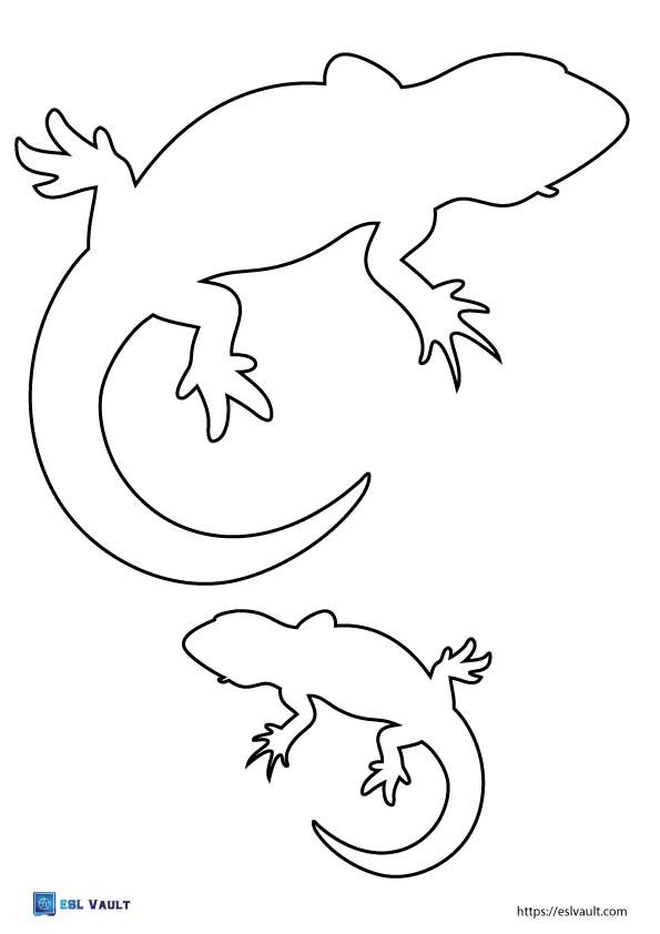 printable lizard outlines newts