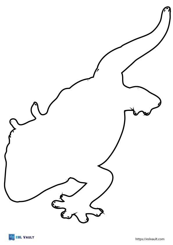 printable lizard outlines big gecko