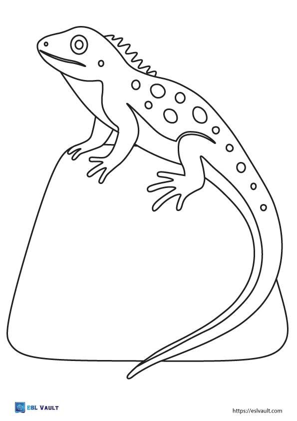 printable template lizard on a rock