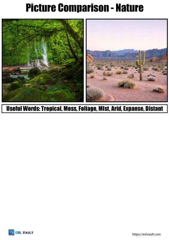nature picture comparison worksheet
