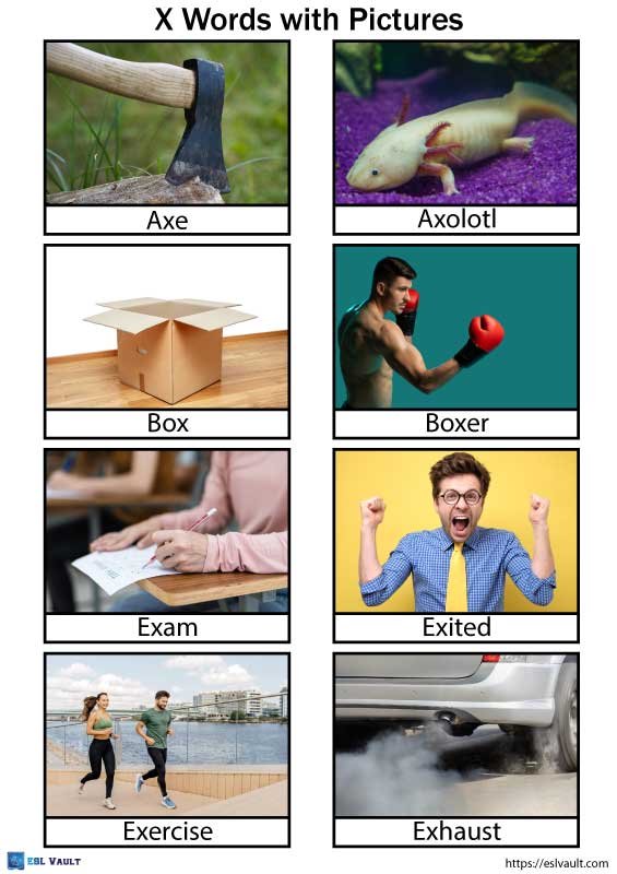 x words for kids with pictures